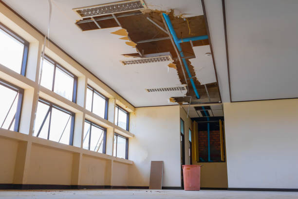 Best Carpet water damage restoration  in Decatur, AR