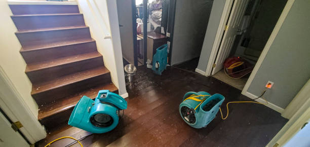 Best Ceiling water damage repair  in Decatur, AR