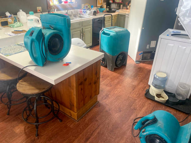 Best Mold removal after water damage  in Decatur, AR