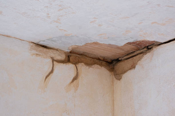 Best Flood restoration services  in Decatur, AR