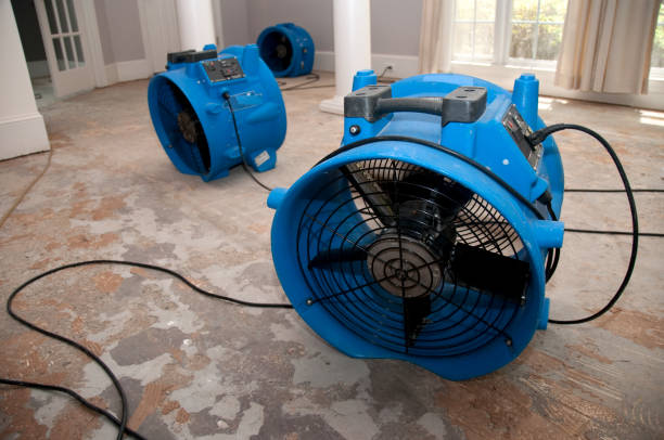 Reliable Decatur, AR Water damage restoration Solutions