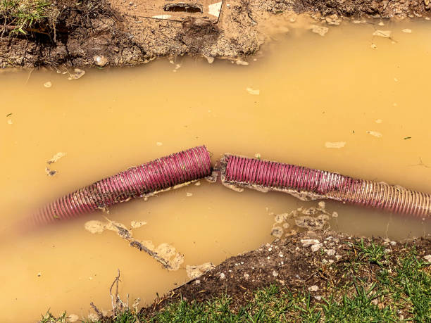 Best 24/7 water damage repair  in Decatur, AR